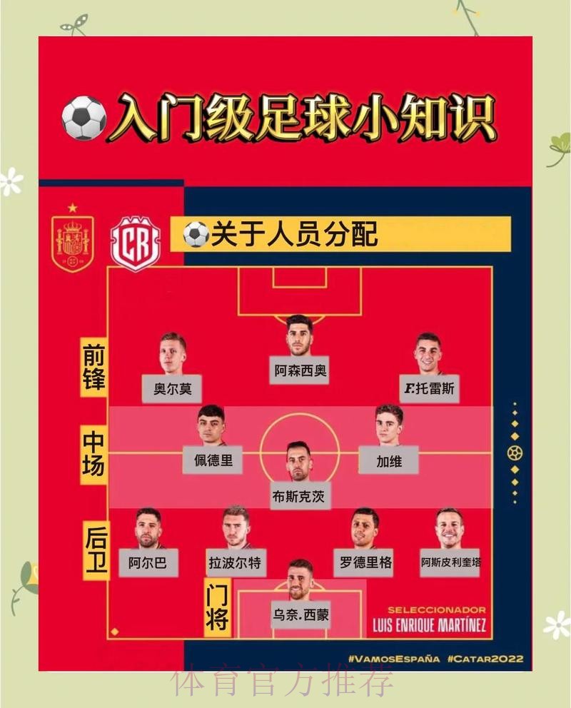 如何获取世界杯比分教程入口地址指南